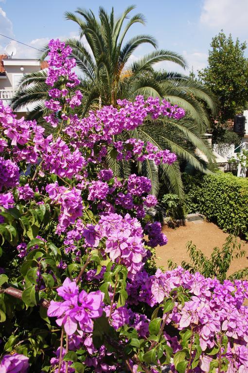 Villa Franda Trogir Exterior photo